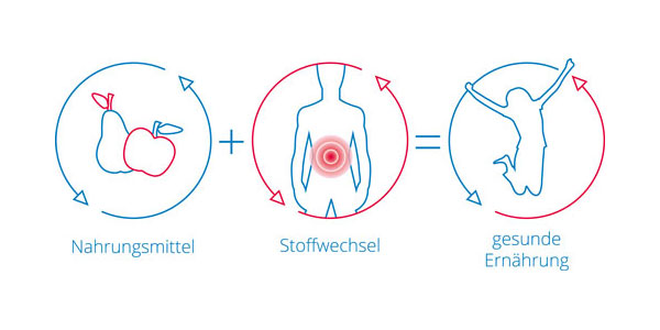Ernährung und Stoffwechsel- „Jeder isst anders!“