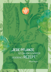 Flyer Grüner Abend
