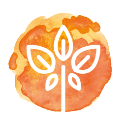 Naturheilpraxis Lorbach Behandlungsmethoden Phytotherapie/Pflanzenheilkunde Klecks